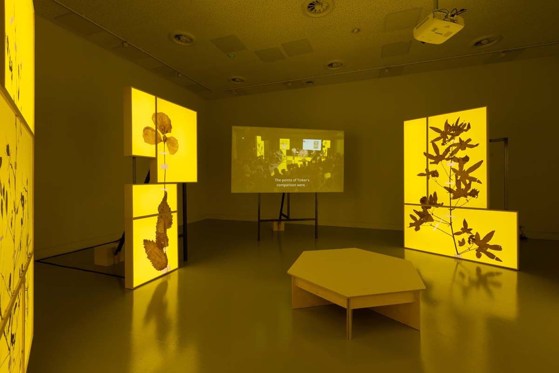 A room with a screen playing a subtitled video, beside three illuminated yellow boxes featuring branch-and-leaf designs.