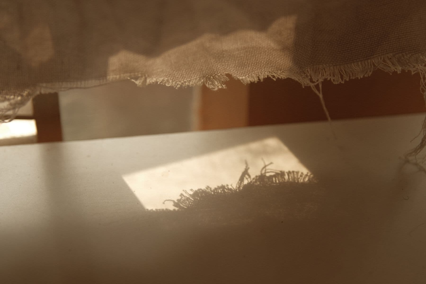 Sunlight casts a shadow of frayed fabric edges onto a surface, creating a warm, textured pattern.