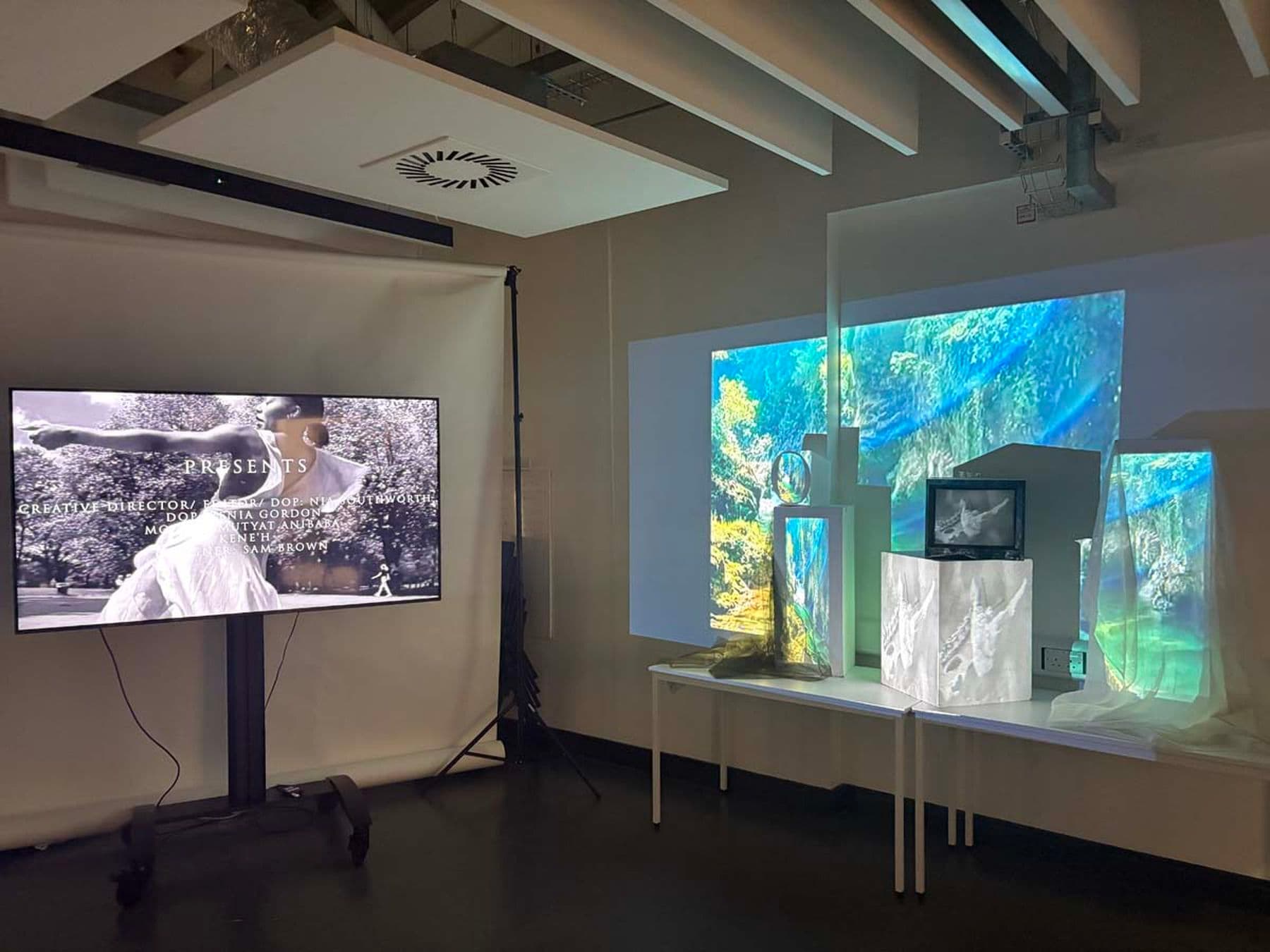 A photograph of a gallery setup featuring a TV screen with text and artistic projections on a wall displaying colourful nature scenes on various surfaces.