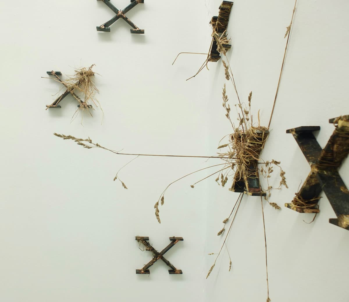 Metal letter "X" sculptures with dried grasses attached to a white wall, creating a nature-inspired abstract installation.