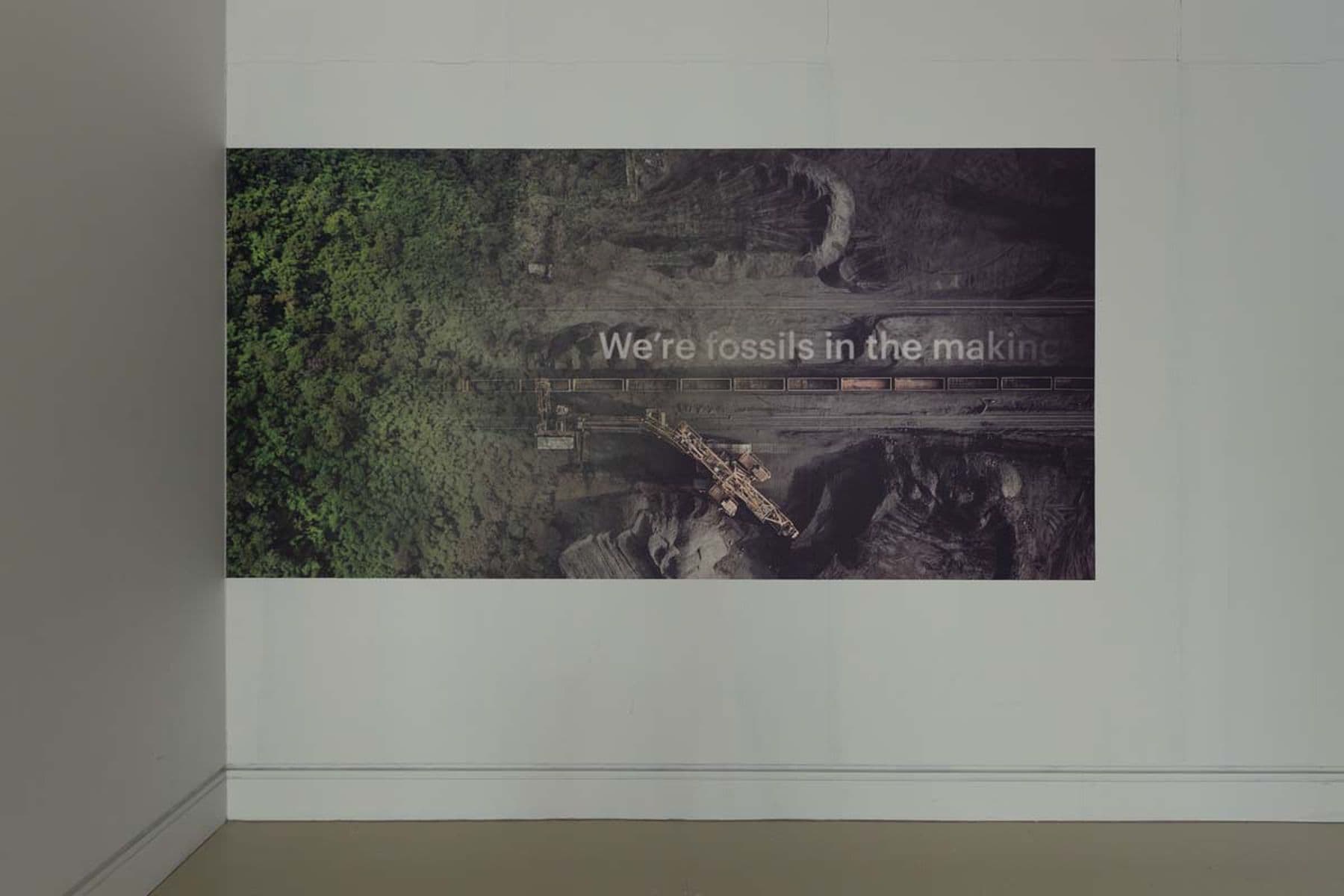 A photograph of an image on white wall showing muddy ground beside a green space with the text: ‘We’re fossils in the making'.