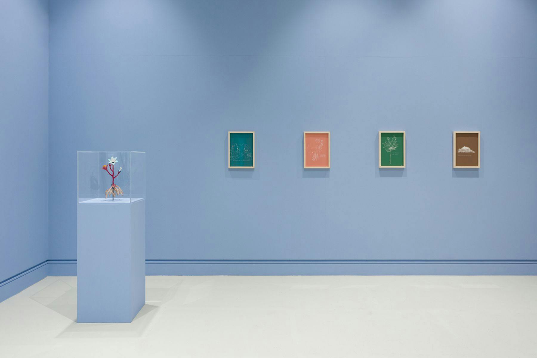 A photograph of a gallery wall with four pictures lined up. On the left hand side is a glass cabinet featuring a model of rose.