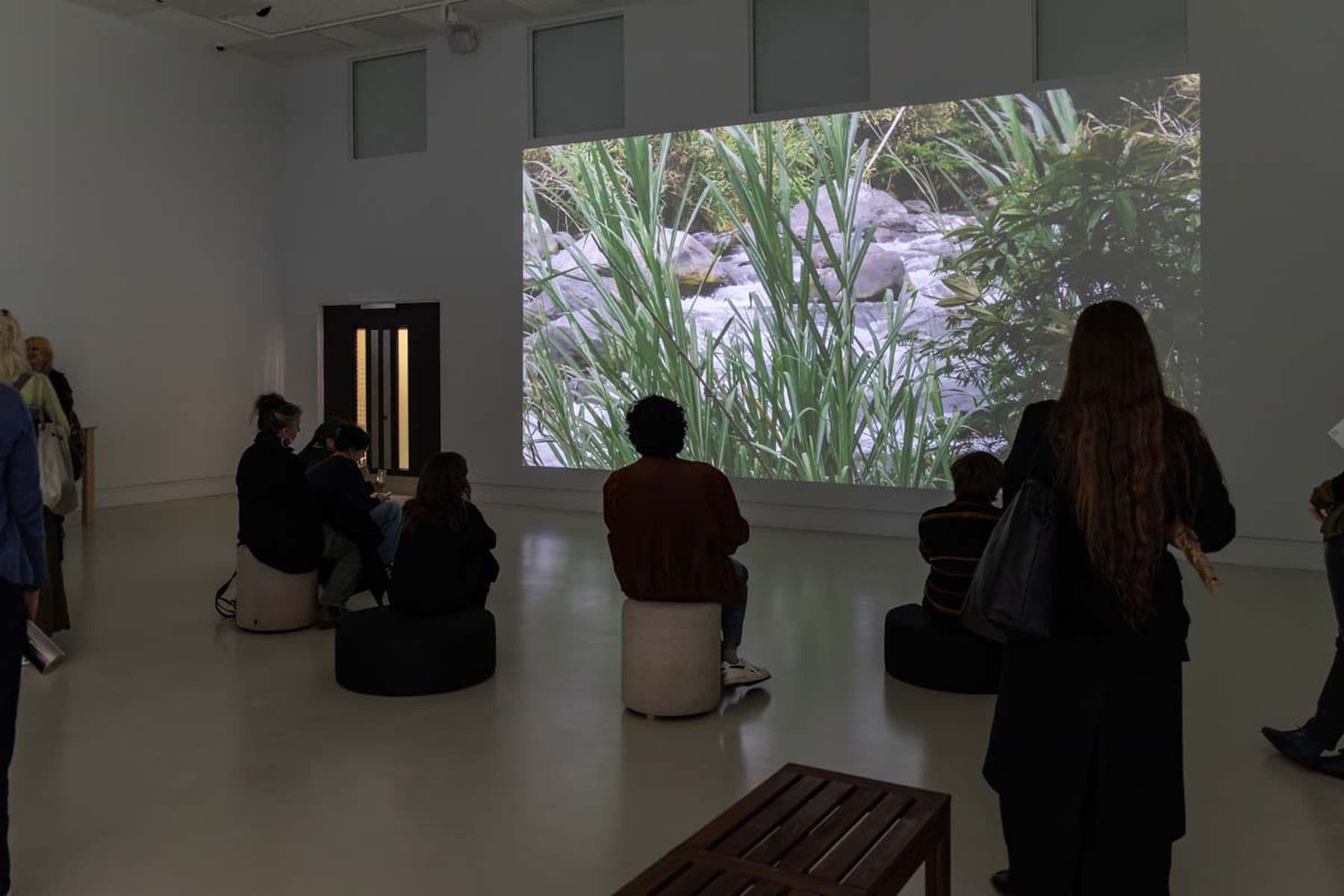 A photograph of people sitting and standing whilst watching a large screen displaying a river coursing through rocks and greenery.