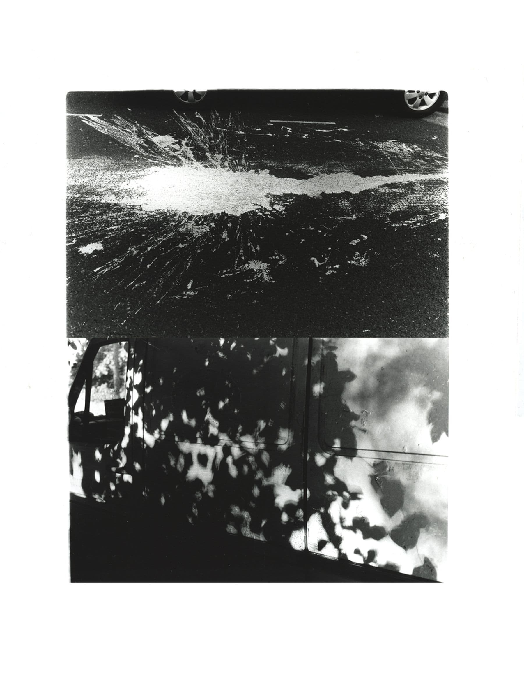 Black and white photo; top half shows a splatter on pavement, bottom half displays tree shadows on a vehicle.